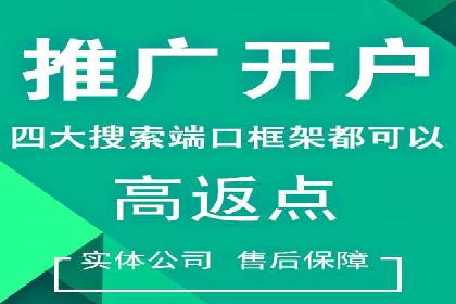 SEM搜索引擎优化成功案例，揭示优化策略与技巧
